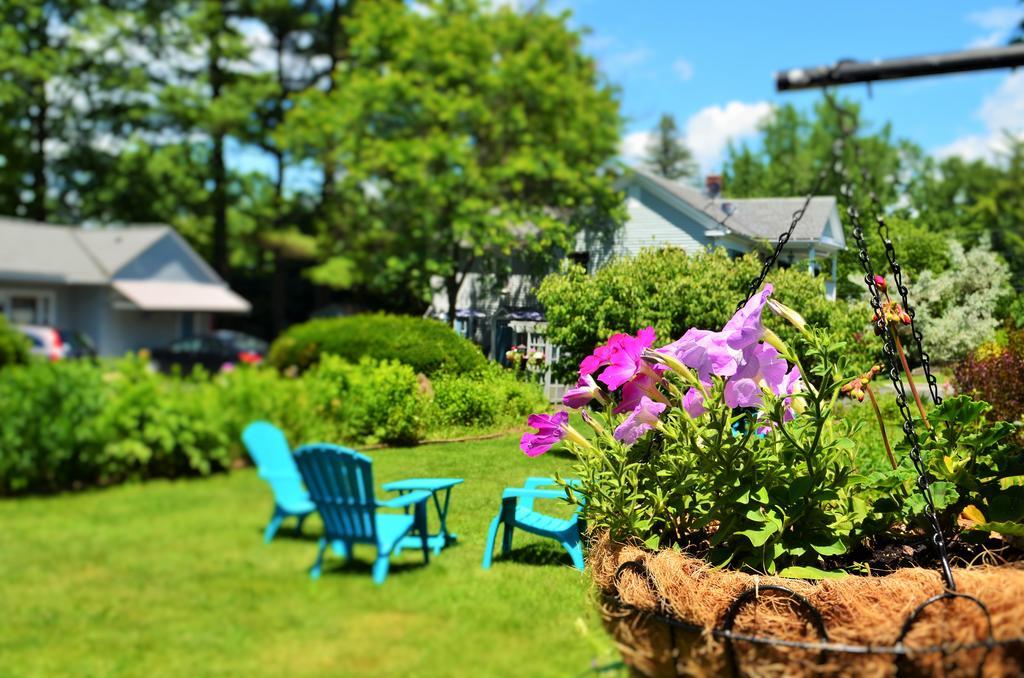Maple Terrace Motel Williamstown Bagian luar foto