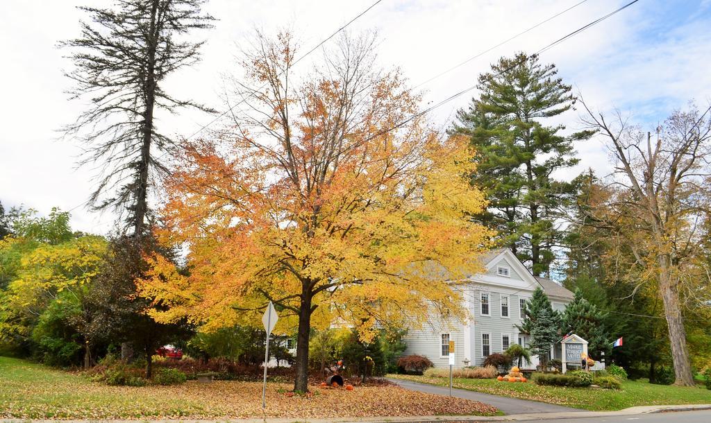 Maple Terrace Motel Williamstown Bagian luar foto