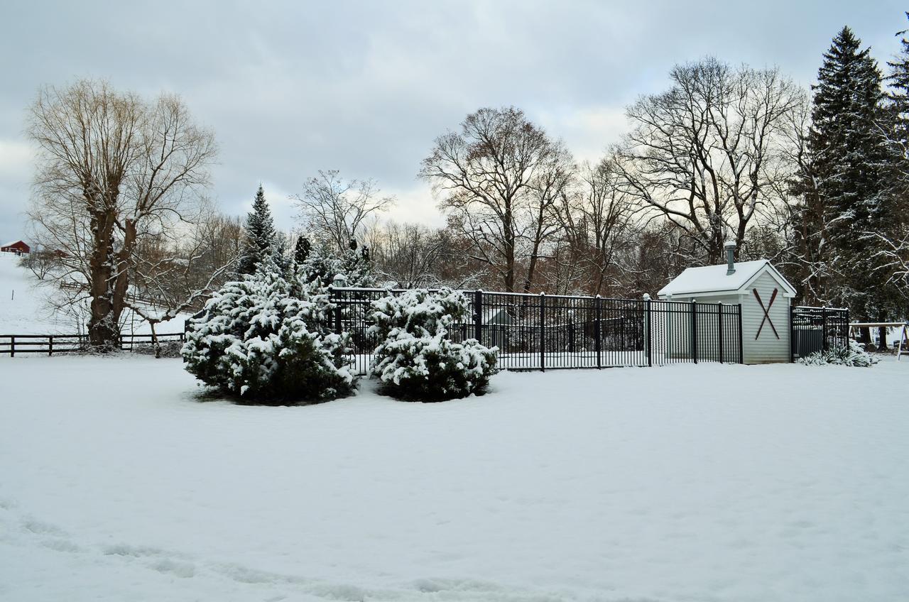 Maple Terrace Motel Williamstown Bagian luar foto